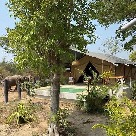 Elephant View Camp Ban Huai Thawai Bagian luar foto