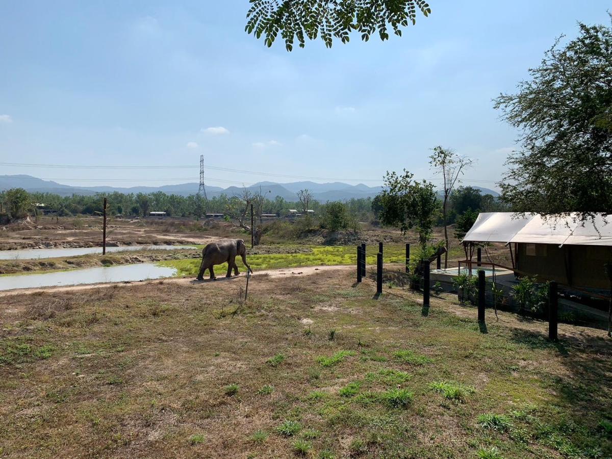 Elephant View Camp Ban Huai Thawai Bagian luar foto