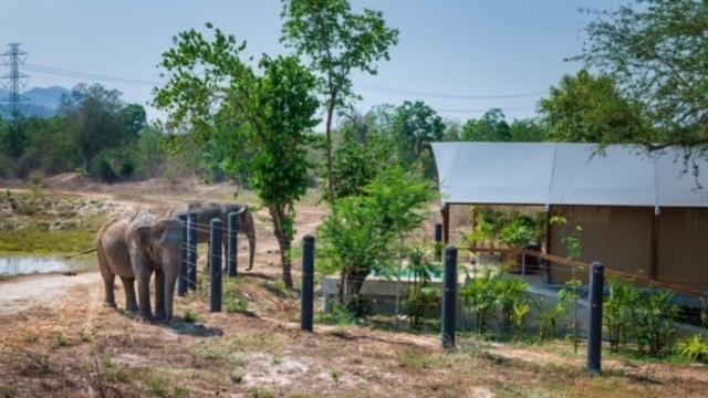 Elephant View Camp Ban Huai Thawai Bagian luar foto