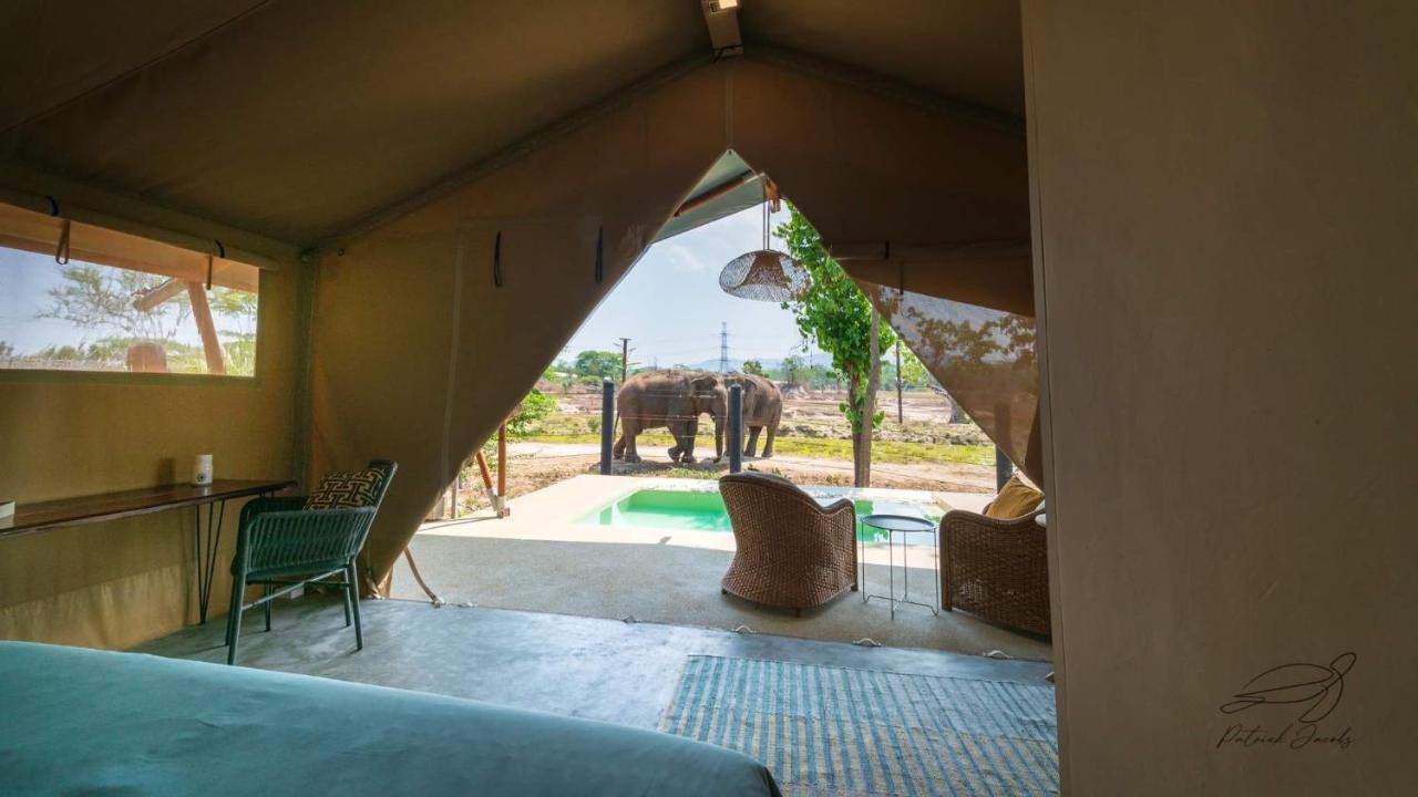 Elephant View Camp Ban Huai Thawai Bagian luar foto